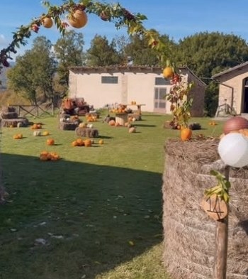 Arco di zucche alla Fattoria della Zucca