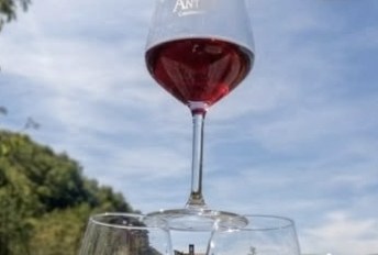 Calici di vino all'aperto
